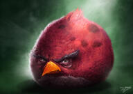 artist:sam_spratt character:terence realistic_angry_bird // 720x508 // 266KB